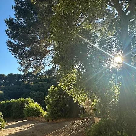 Apartmán Dolce Farniente A 300m De La